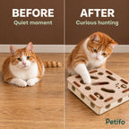 Before and after showing a quiet cat becoming engaged in puzzle play - Petifo