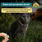 SIM card for GPS collar that is ready to use straight away Petifo